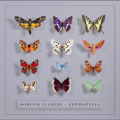 Dominik Eulberg: Lepidoptera - VINYL LP