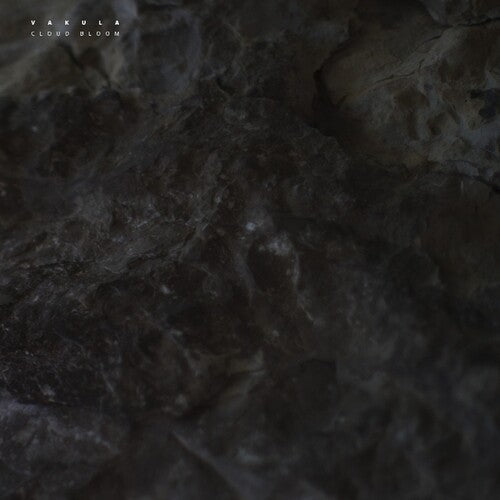 Vakula: Cloud Bloom - 12-INCH SINGLE