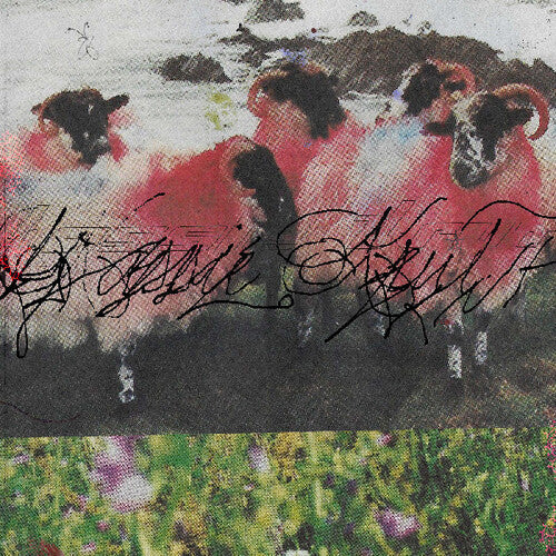 Kassie Krut: Kassie Krut - VINYL LP