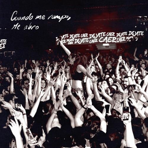 Delaporte: Dejate Caer Remixes - VINYL LP