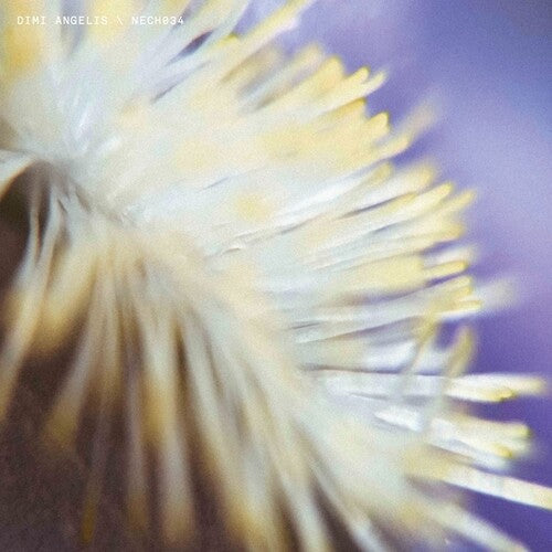 Dimi Angelis: NECH034 - 12-INCH SINGLE