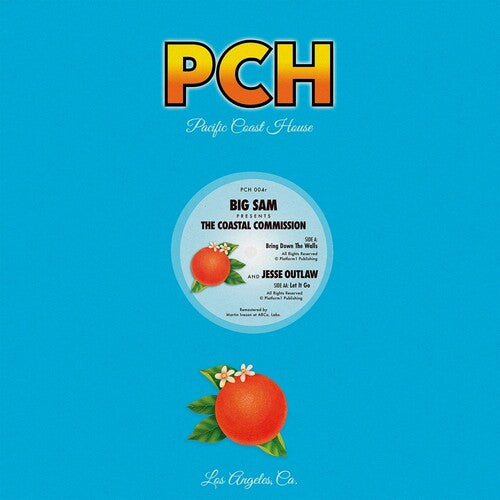 Coastal Commission: Bring Down The Walls - 12-INCH SINGLE