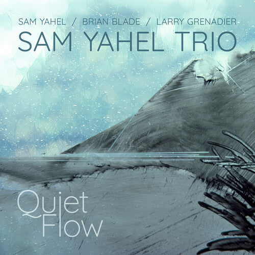 Sam Yahel: Quiet Flow - COMPACT DISCS