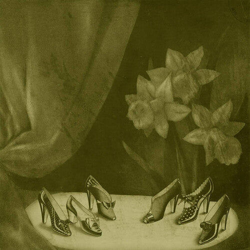 Alice Cohen: Into The Grey Salons - VINYL LP