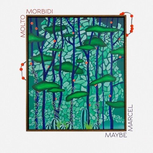 Molto Morbidi: Maybe Marcel - VINYL LP