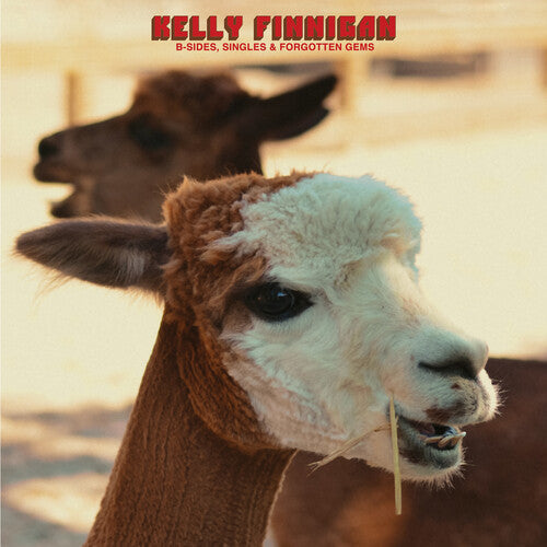 Kelly Finnigan: B-Sides, Singles & Forgotten Gems - COMPACT DISCS