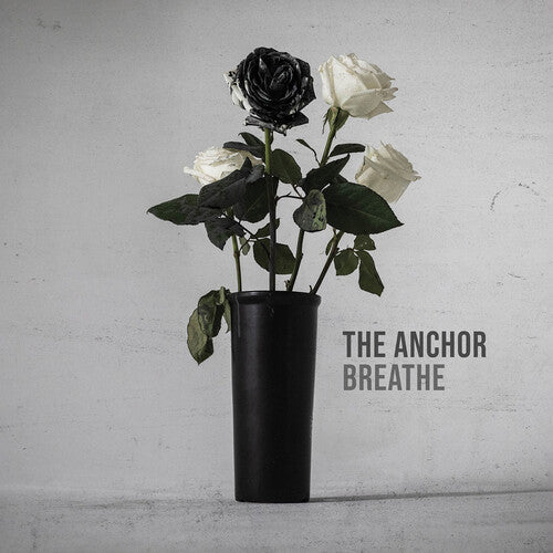 Anchor: The Anchor - COMPACT DISCS