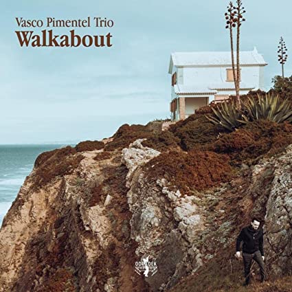 Vasco Trio Pimentel: Walkabout - COMPACT DISCS