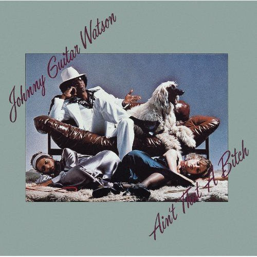 Johnny Watson Guitar: Ain't That a Bitch - COMPACT DISCS