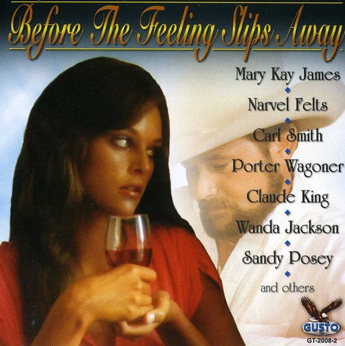 Various Artists: Country's Best: Before the Feeling Slips Away / Various - COMPACT DISCS