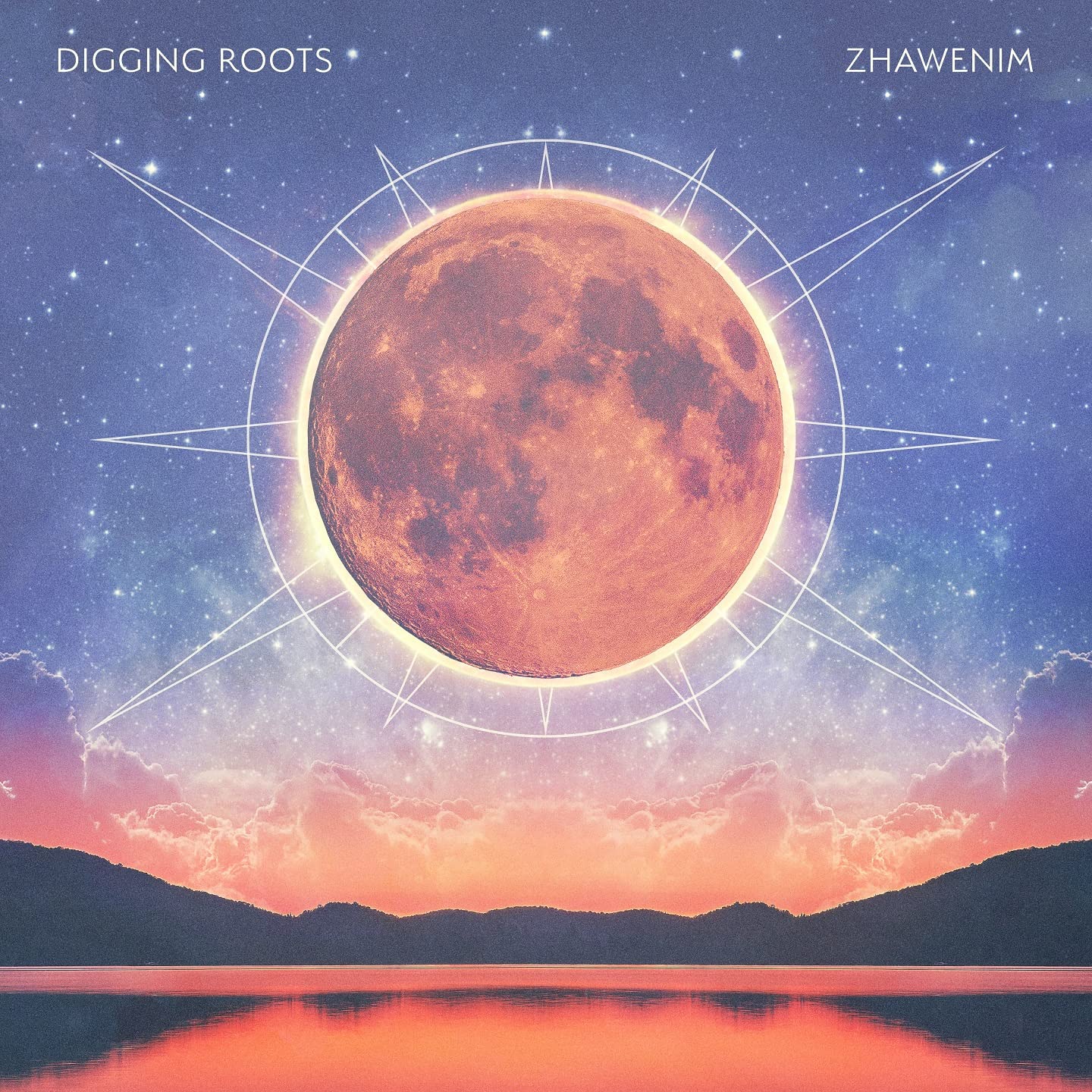 Digging Roots: Zhawenim - COMPACT DISCS