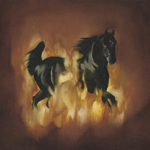 The Besnard Lakes: The Besnard Lakes Are The Dark Horse - VINYL LP