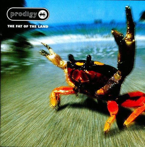 Prodigy: The Fat Of The Land - VINYL LP