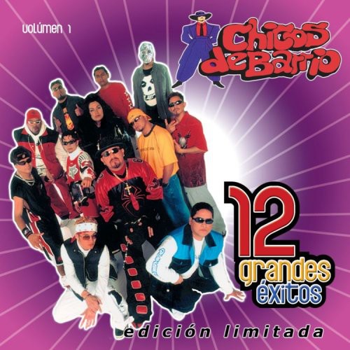 Chicos de Barrio: Vol. 1-12 Grandes Exitos - COMPACT DISCS