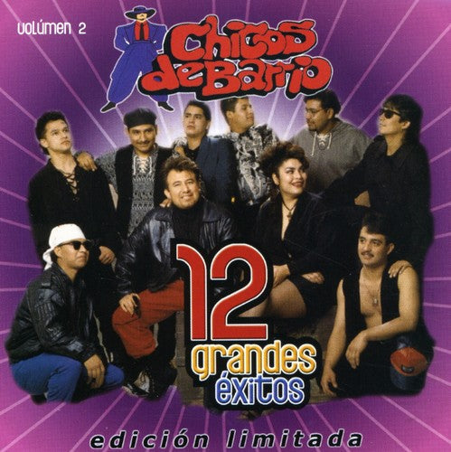 Chicos de Barrio: 12 Grandes Exitos 2 - COMPACT DISCS