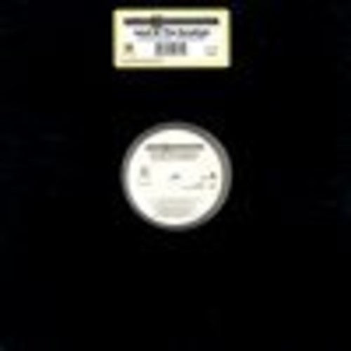 Chico & Coolwadda: Land of the Sunshine - 12-INCH SINGLE