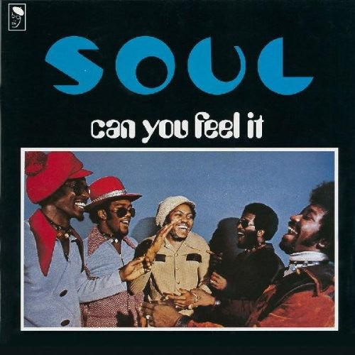 Thesoul: Can You Feel It? - VINYL LP