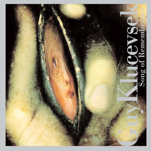 Guy Klucevsek: Song of Remembrance - COMPACT DISCS