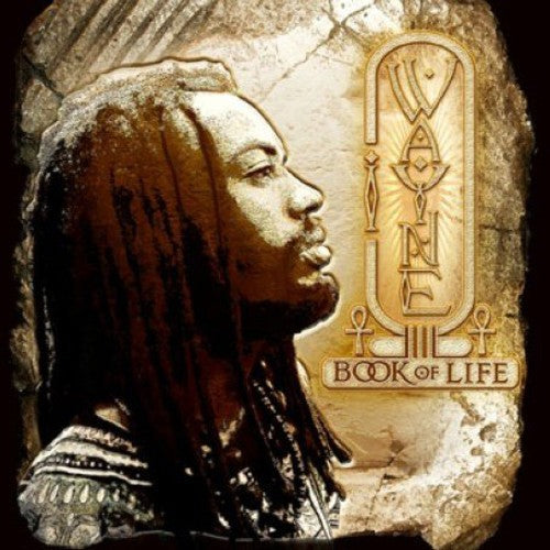 I Wayne: Book Of Life - VINYL LP