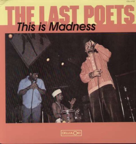 The Last Poets: This Is Madness - VINYL LP
