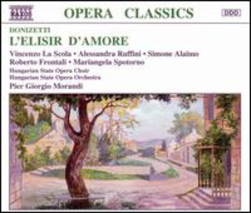 Pier Giorgio Morandi: L'elisir D'amore - COMPACT DISCS