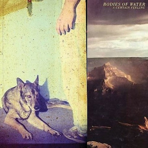 Bodies of Water: A Certain Feeling - COMPACT DISCS