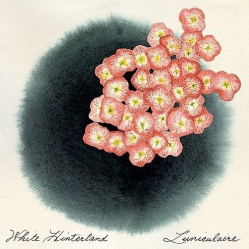White Hinterland: Luniculaire - COMPACT DISCS