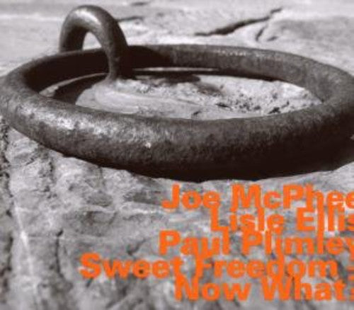 Joe McPhee: Now What - COMPACT DISCS