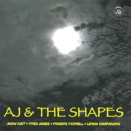 AJ & the Shapes: Andy Just and The Shapes - COMPACT DISCS
