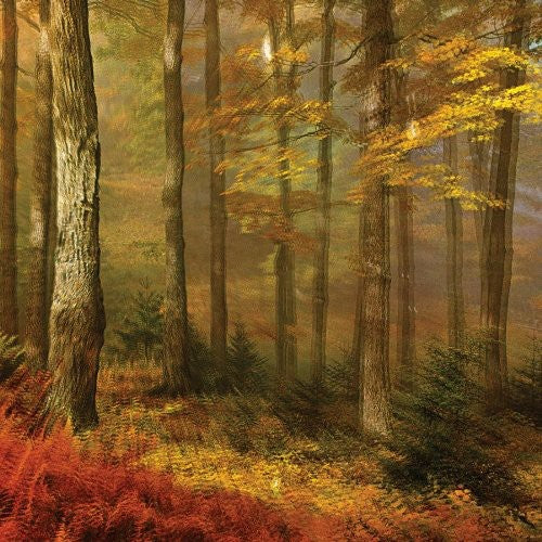 People of the North: Deep Tissue - VINYL LP