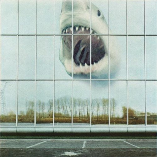 Black Mountain: Wilderness Heart - COMPACT DISCS