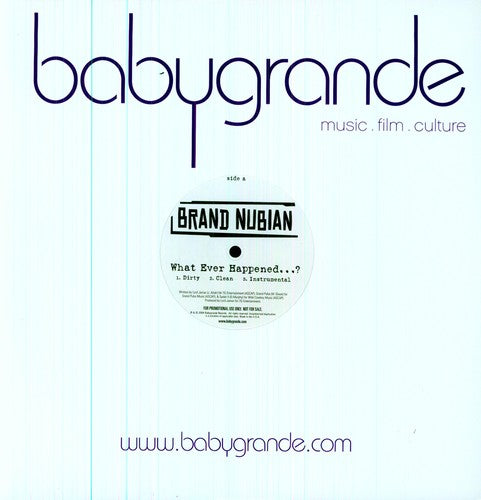 Brand Nubian: What Ever Happened / Momma - 12-INCH SINGLE