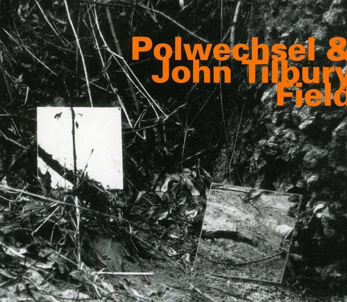 Polwechsel & John Tilbury: Field - COMPACT DISCS