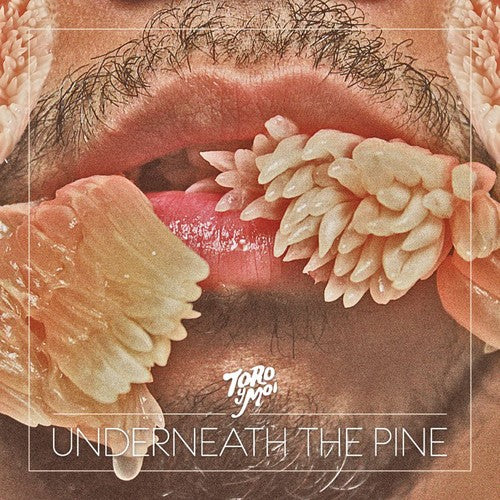 Toro y Moi: Underneath the Pine - COMPACT DISCS