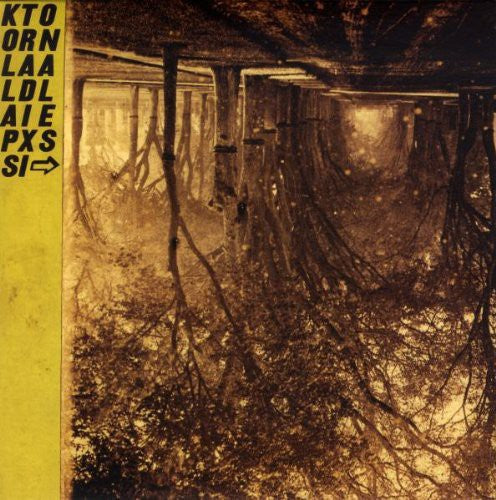 Thee Silver Mt. Zion: Kollaps Tradixionales [With CD] [With Book] [With Poster] [Deluxe Edition] - VINYL LP