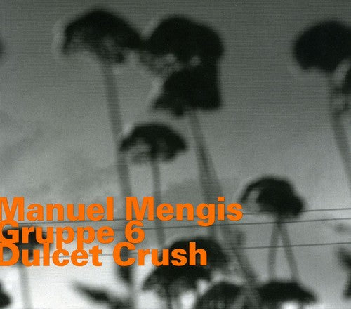 Manuel Mengis: Dulcet Crush - COMPACT DISCS