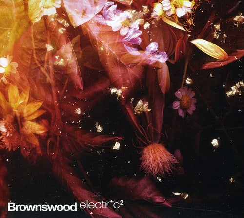 Various Artists: Brownswood Electr*c 2 - COMPACT DISCS