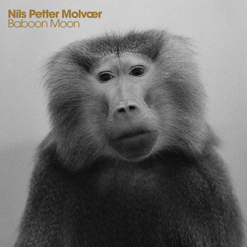 Nils Petter Molvaer: Baboon Moon - COMPACT DISCS