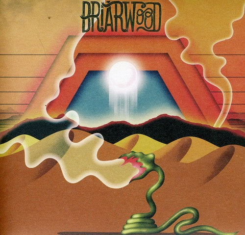 Wooden Wand & the Vanishing Voice: Briarwood - COMPACT DISCS
