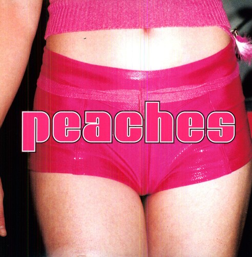 Peaches: The Teaches Of Peaches - VINYL LP