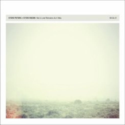 Steve Roden: Not a Leaf Remains As It Was - COMPACT DISCS