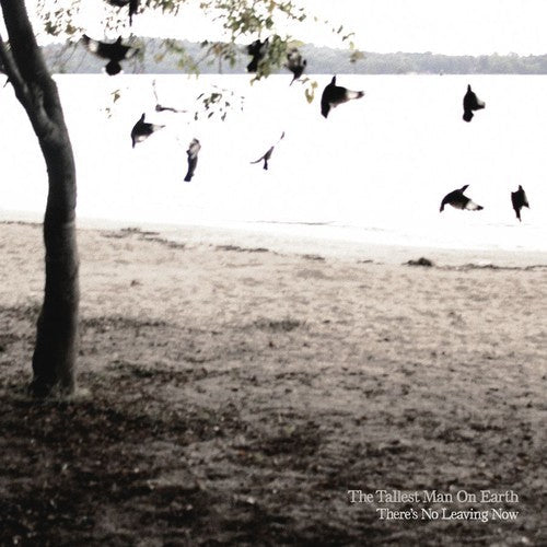 The Tallest Man on Earth: There's No Leaving Now - COMPACT DISCS