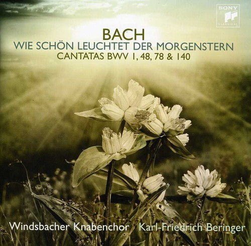 Windsbacher Knabenchor: Bach J.S: Cantatas - COMPACT DISCS