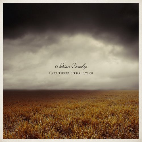 Adrian Crowley: I See Three Birds Flying - VINYL LP