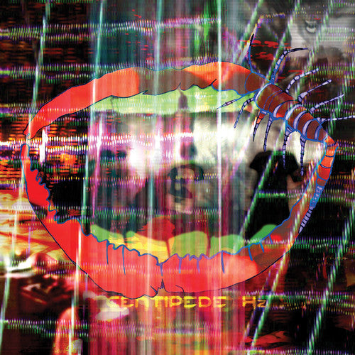 Animal Collective: Centipede HZ - VINYL LP