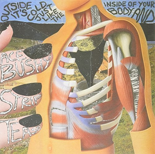 Ace Bushy Striptease: Outside It's Cold Just Like the Inside of Your Bod - VINYL LP