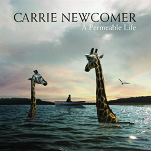 Carrie Newcomer: A Permeable Life - COMPACT DISCS