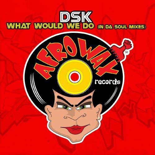 DSK: What Would We Do - COMPACT DISCS