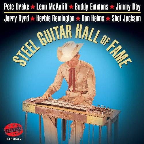 Various Artists: Steel Guitar Hall Of Fame - COMPACT DISCS