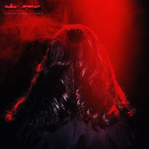 Dâm-Funk: Toeachizown, Vol. 4: Hood - VINYL LP